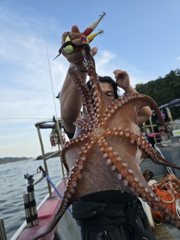 ▲ 문어를 잡아올려 선보이고 있다.