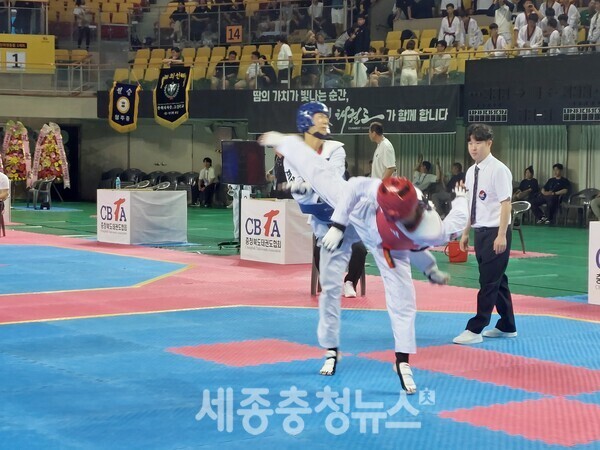 겨루기 경기